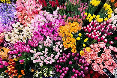 喜报！《龙珠：异战2》《龙珠：斗士Z》销量均破千万